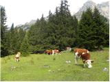 Alba di Canazei - Punta Penia (Marmolada)